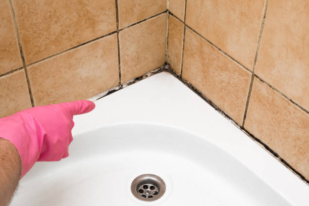 Best Attic Mold Removal  in Merrydale, LA